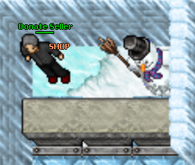 NPC Donate Seller Shop